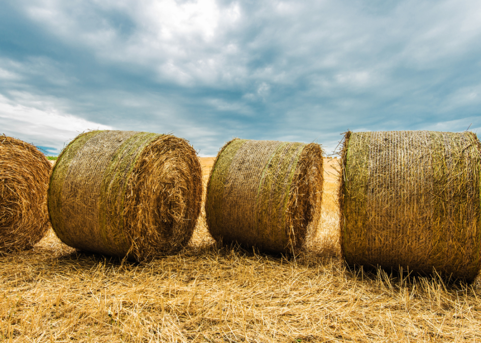 A row of hay bales sitting in a field.