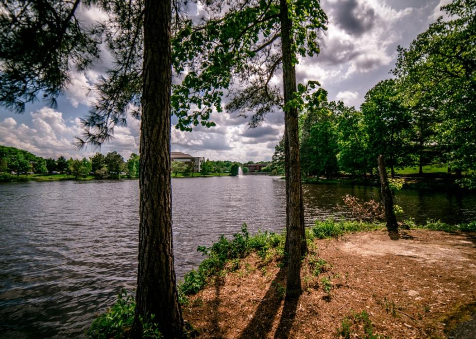 Innsbrook Lake with pine trees in the foreground in Henrico.
