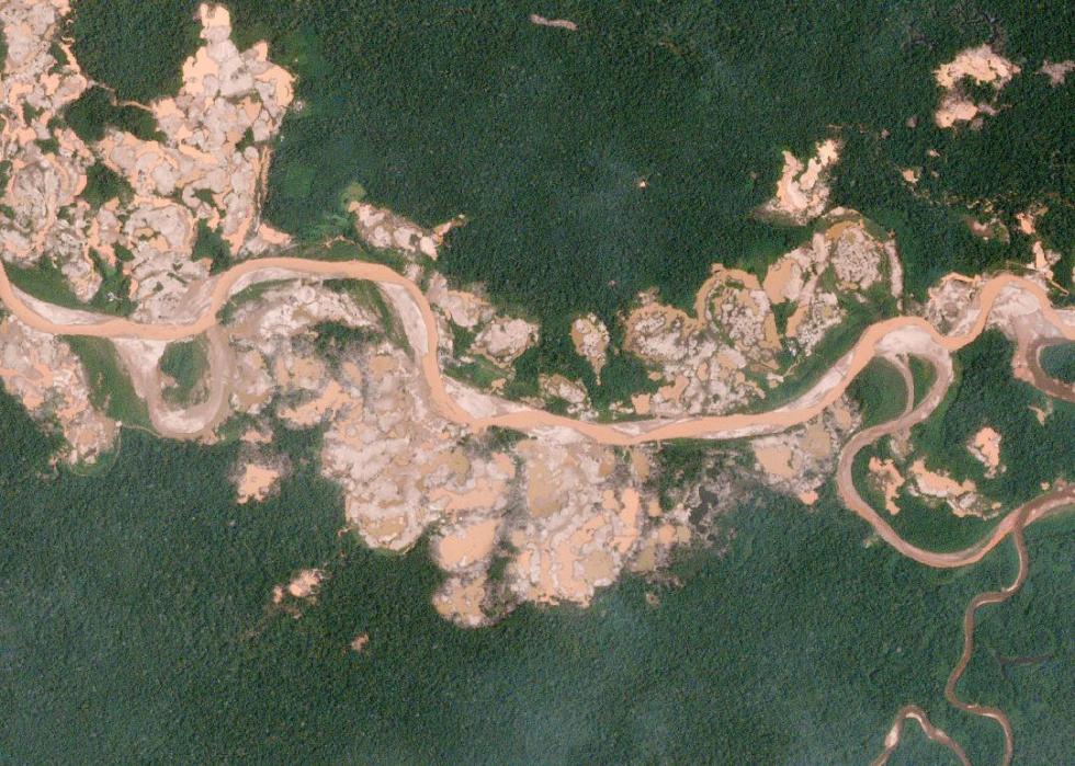 10 plus grands dangers pour la forêt amazonienne 
