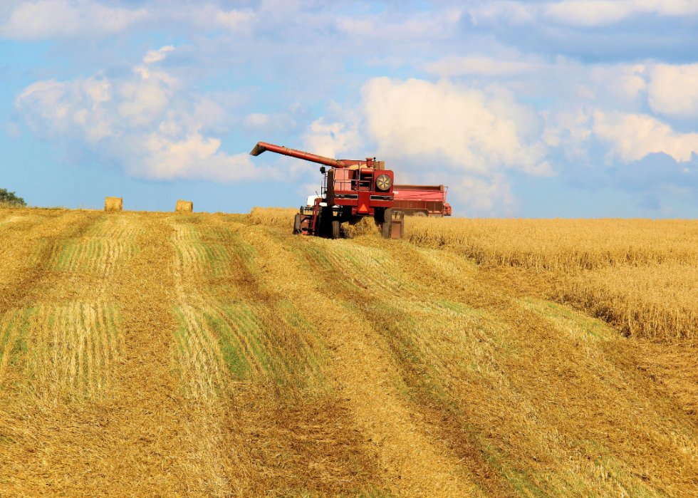 A modern combine harvester working in a large field of wheat.