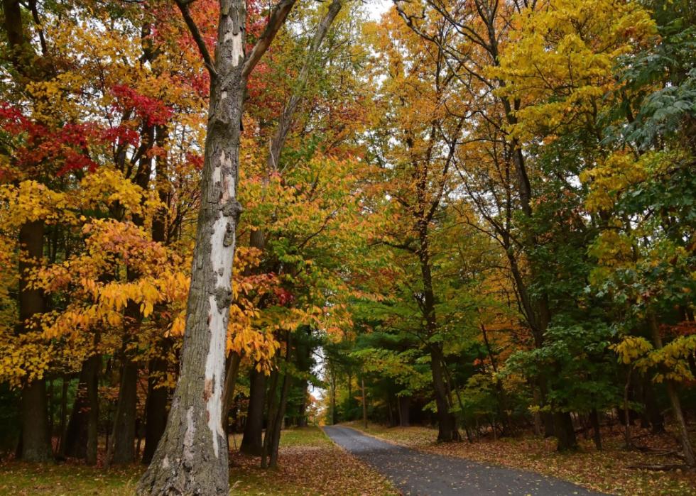 Fall foliage in rural Pennsylvania.