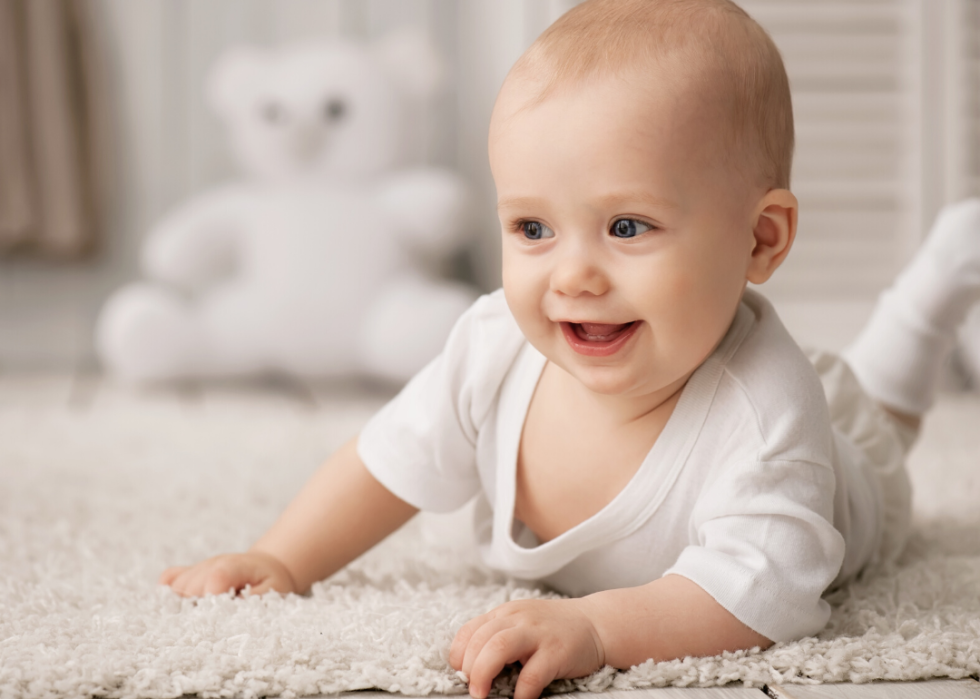 Portrait of a crawling baby on a carpet.