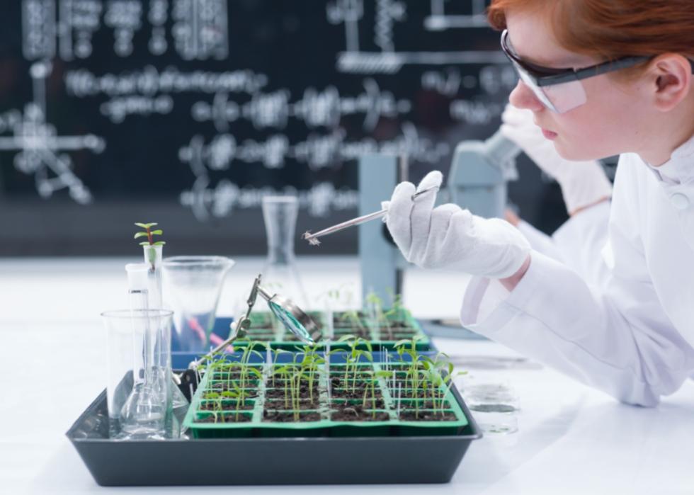 A close-up of a female student wearing protective glasses and holding a bug with tweezers on a worktable with seedlings and lab tools and a blackboard in the background.