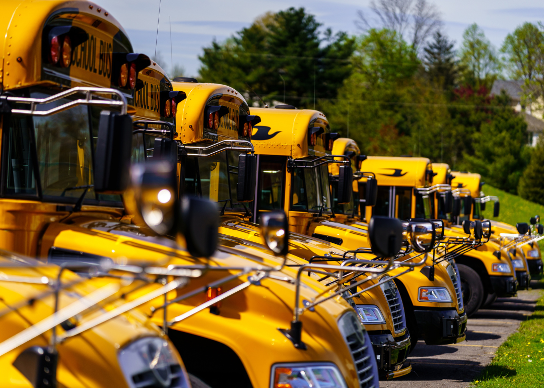 School buses in Mohnton.
