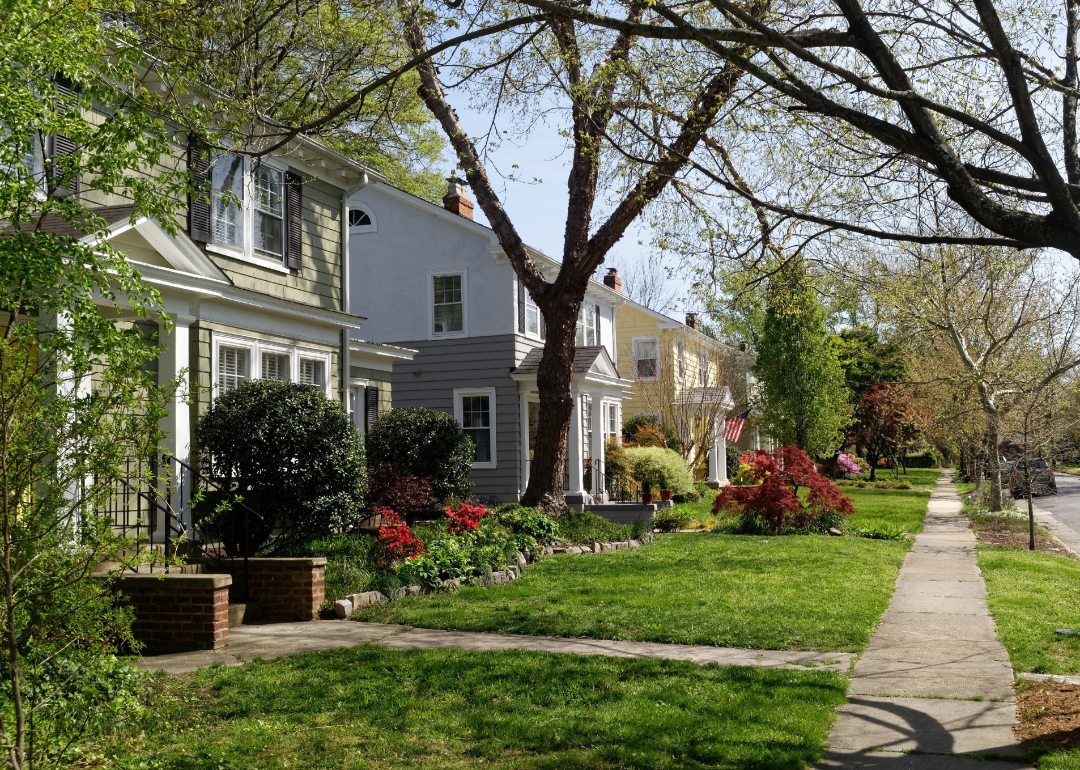 A neighborhood in Richmond, Virginia, during early spring.