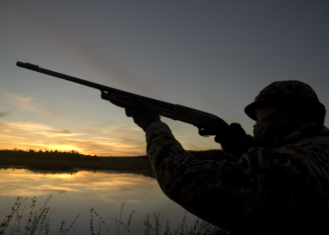 A hunter aiming a rifle in Bristol.