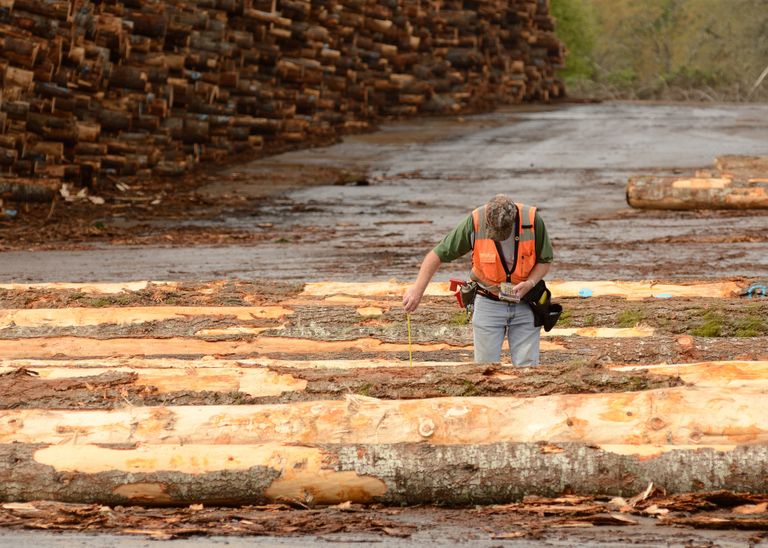 A log grader at work in a log yard.