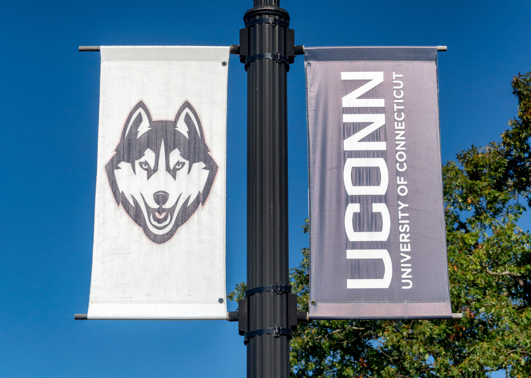 Campus banner on a lamp post at the University of Connecticut.