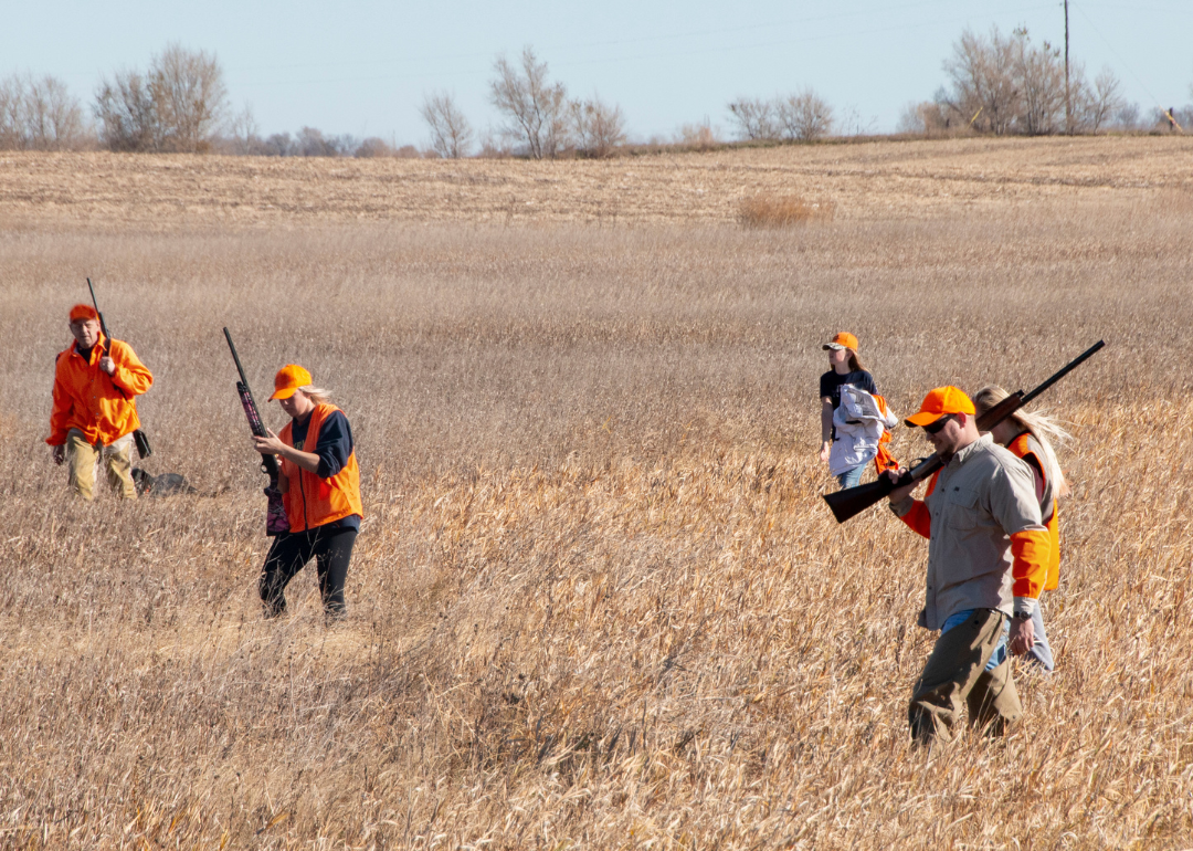 A group of people hunting pheasants in eastern South Dakota during October.