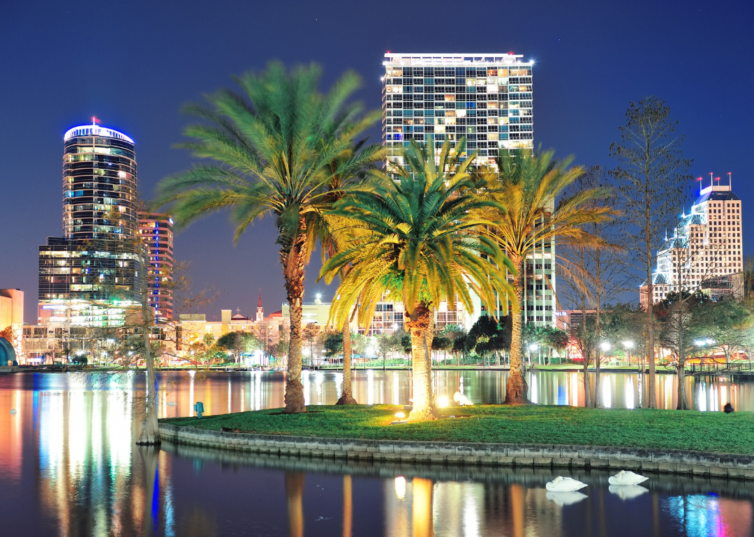 Palm trees outside a building in Orlando at night.