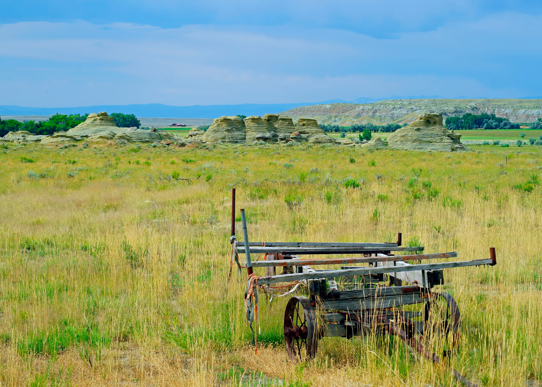 Old farm equipment in a field of tall grass