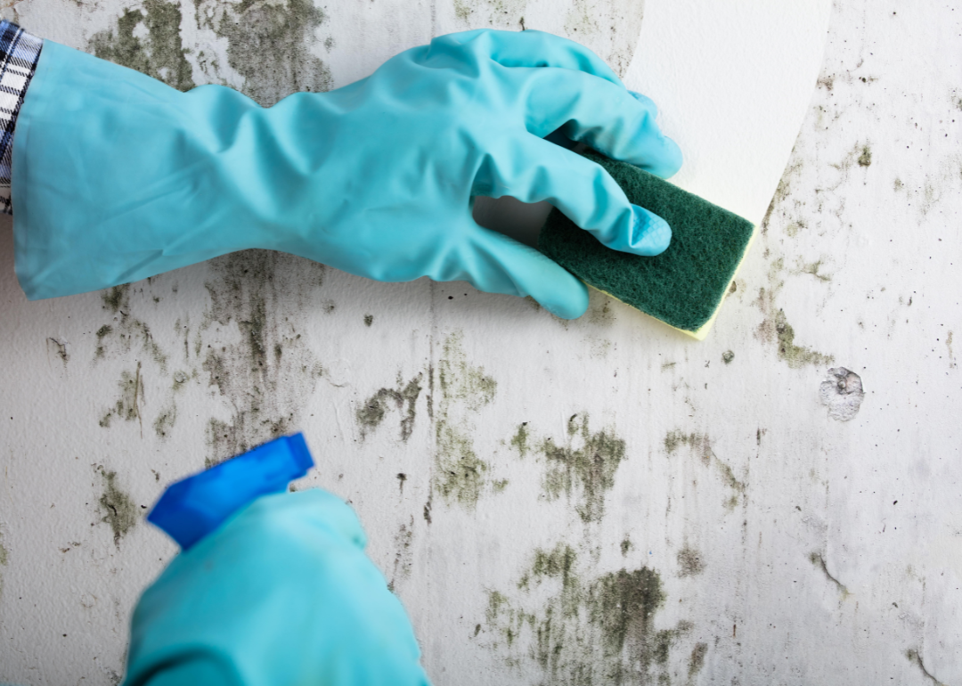 A hand scrubbing stains off a wall using a natural cleaner.