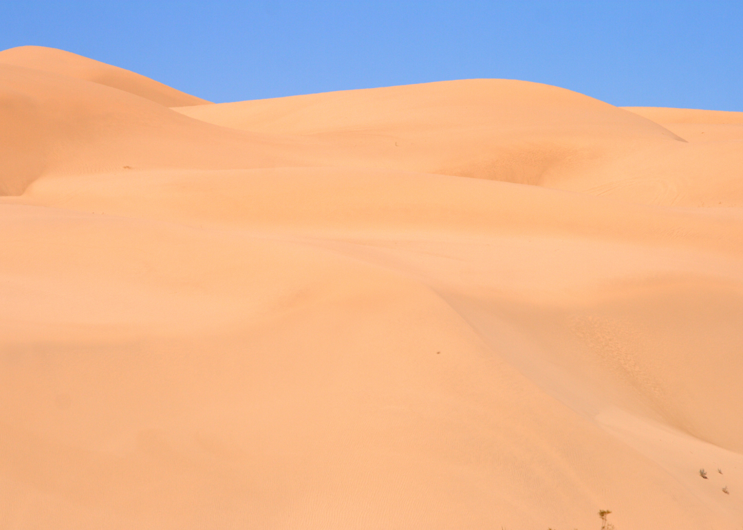 An expanse of sand dunes in a Colorado desert.