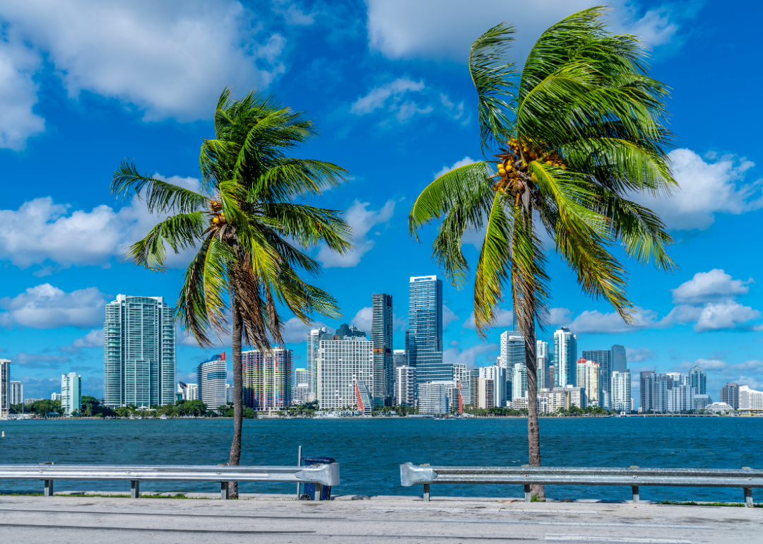Miami as seen from a distance with palm trees in the foreground.