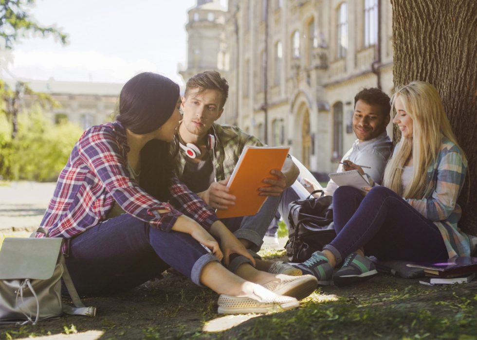 A group of college students having a discussion under a tree on campus.