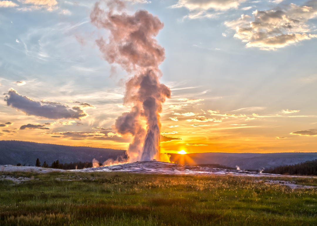 Old Faithful erupting in Yellowstone National Park at sunset.