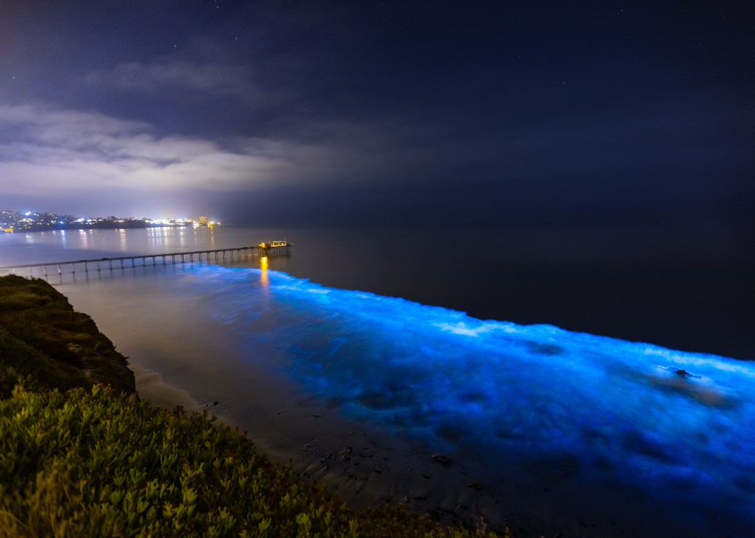 The shore of San Diego as seen in summer while neon blue.
