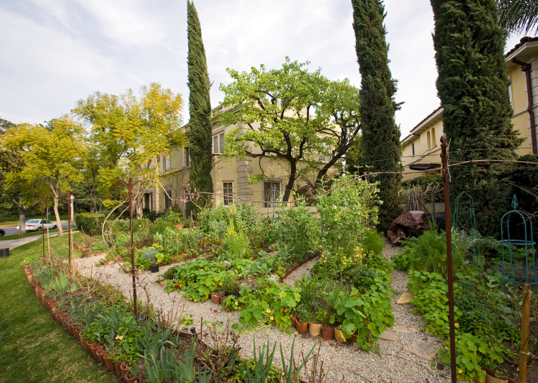 An urban garden and home in Los Angeles in 2010.