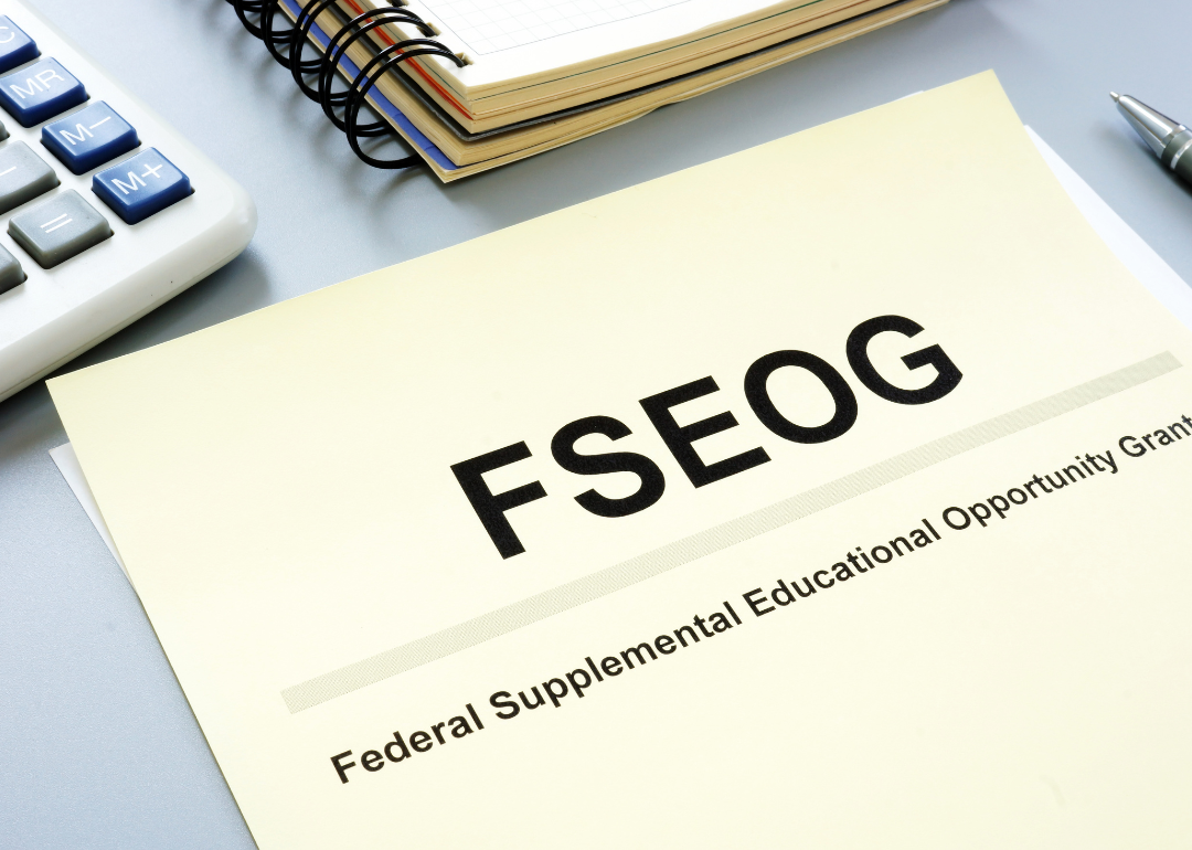 An application reading "Federal Supplemental Educational Opportunity Grant."