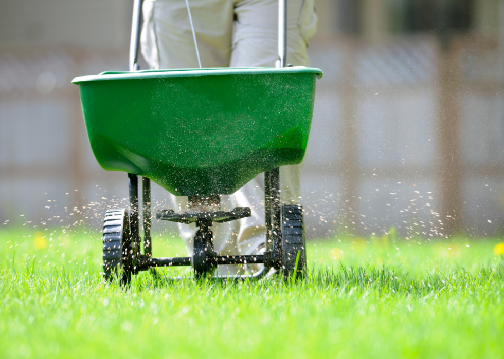 A person fertilizing their lawn