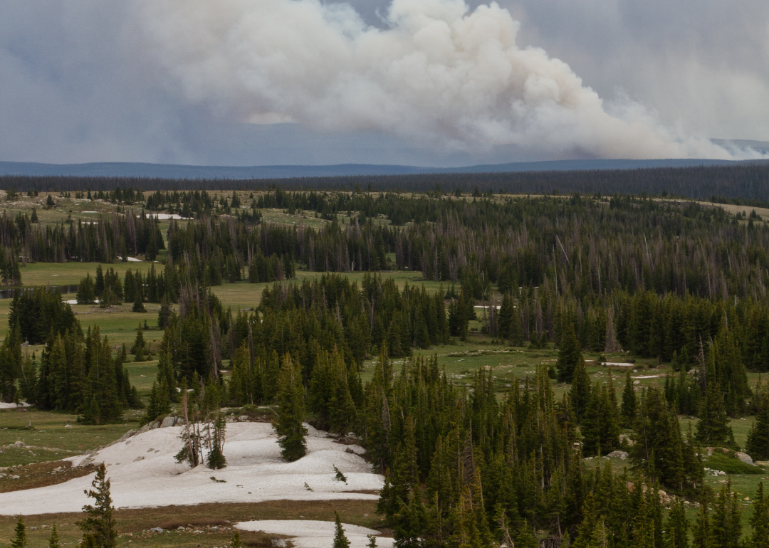 A wildfire burning in the mountains of Wyoming near Laramie.
