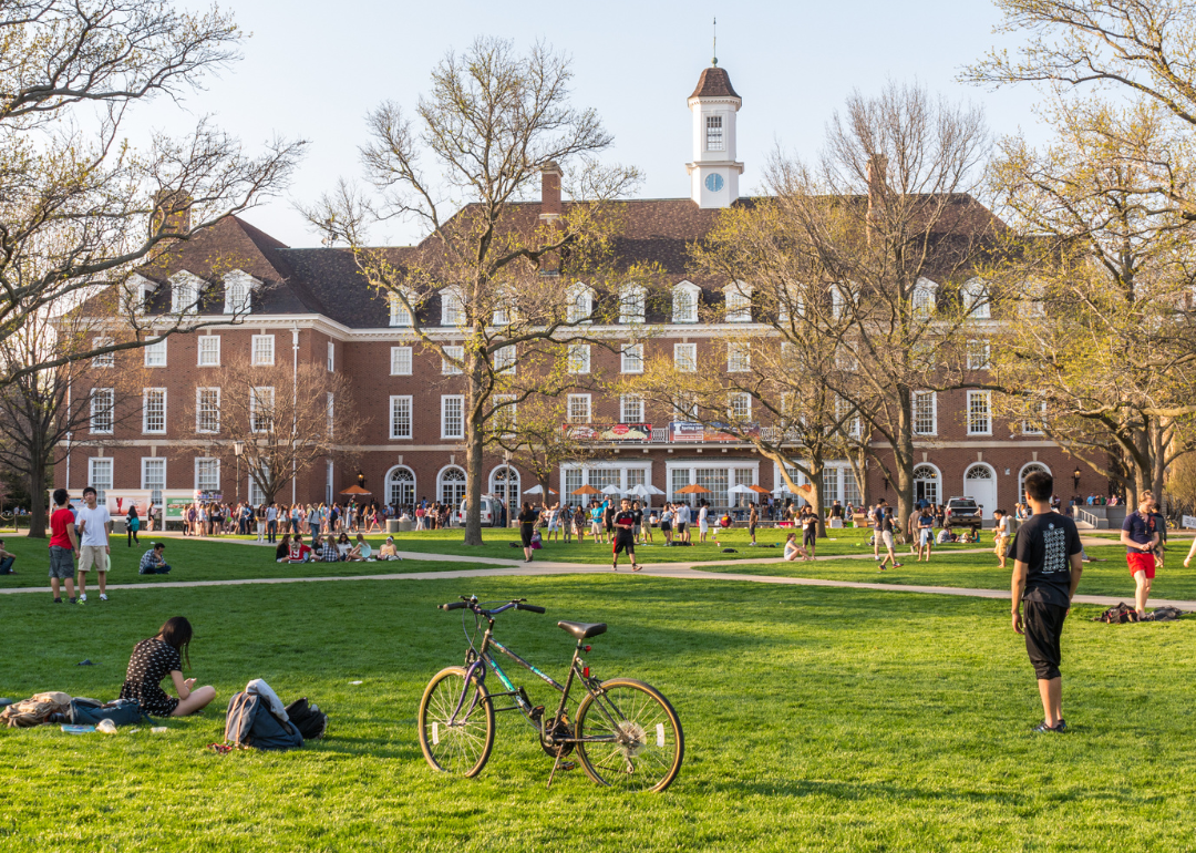 Students on the quad lawn of the University of Illinois in April 2016.