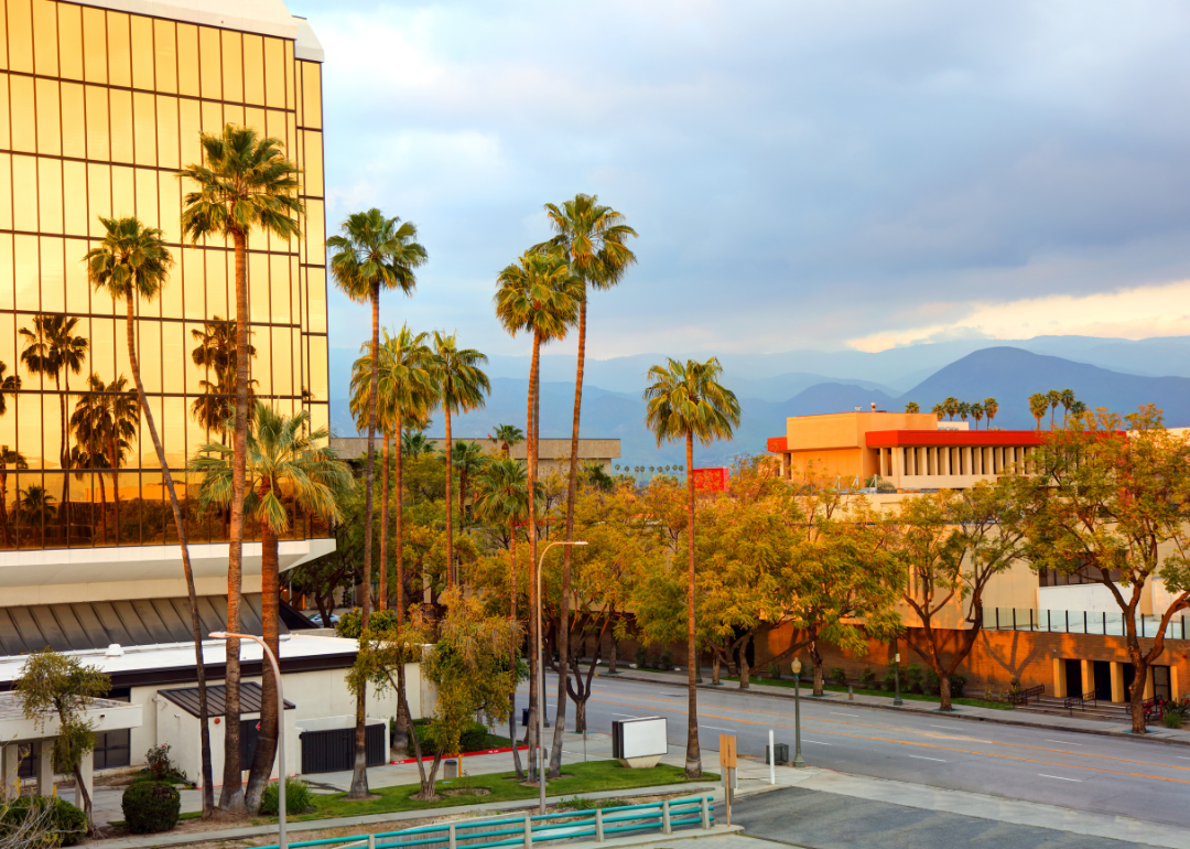 Palm trees outside a building in San Bernardino.