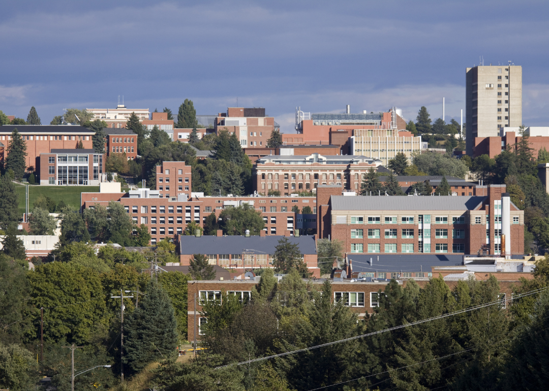 An aerial view of the Washington State University campus during the day.