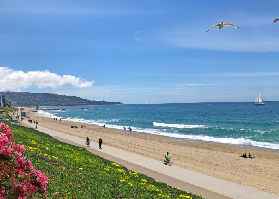 People jogging and cycling on sunny day in Redondo Beach