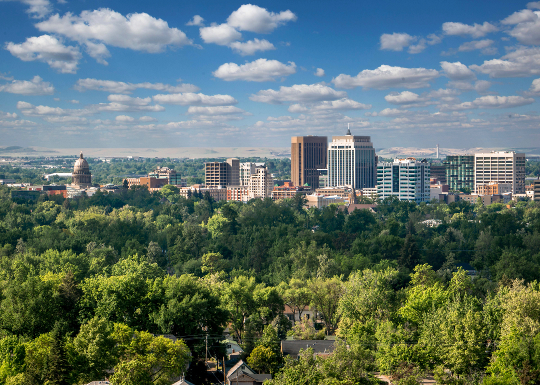 Boise, Idaho, as viewed from afar, with trees in the foreground.