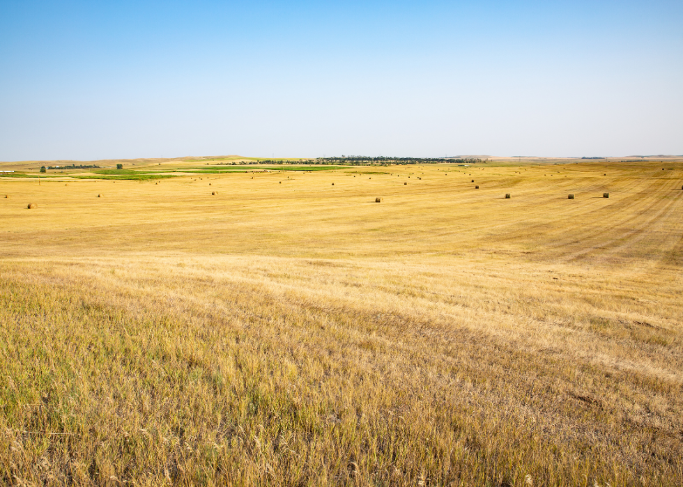 Counties With the Highest Unemployment in North Dakota Stacker