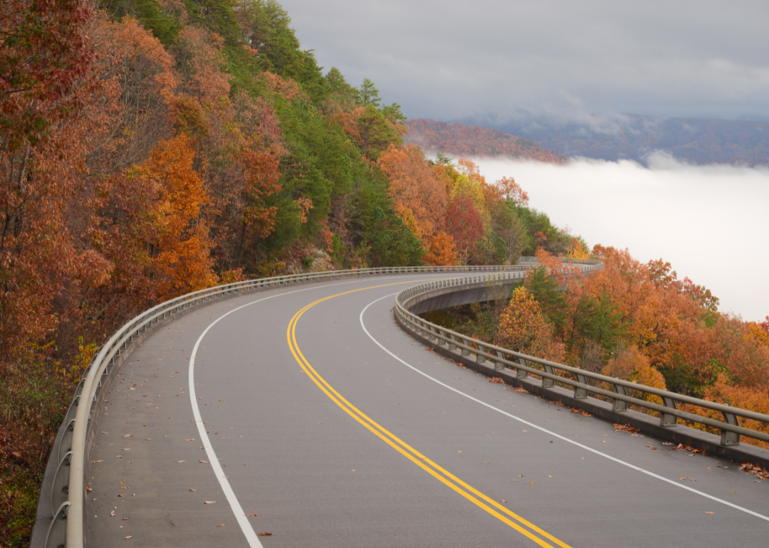 A curved road going through the Great Smoky Mountains National Park during fall with fog rising up to the road.