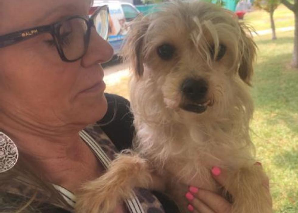 Dogs available for adoption in Waco Stacker