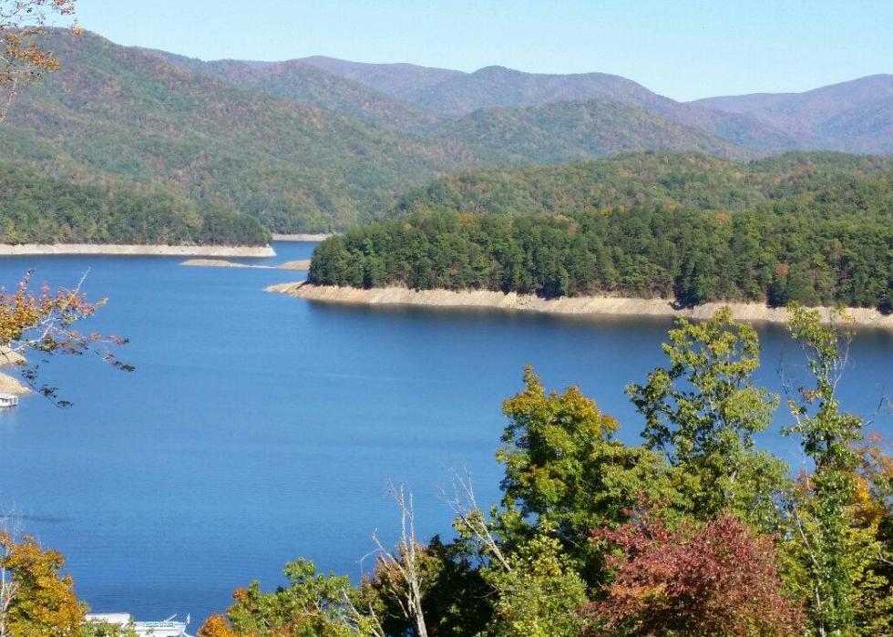 Highest-rated things to do in North Carolina, according to Tripadvisor ...