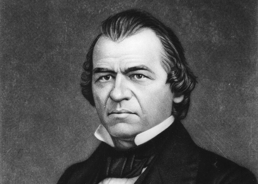 A portrait of Andrew Johnson in a suit.