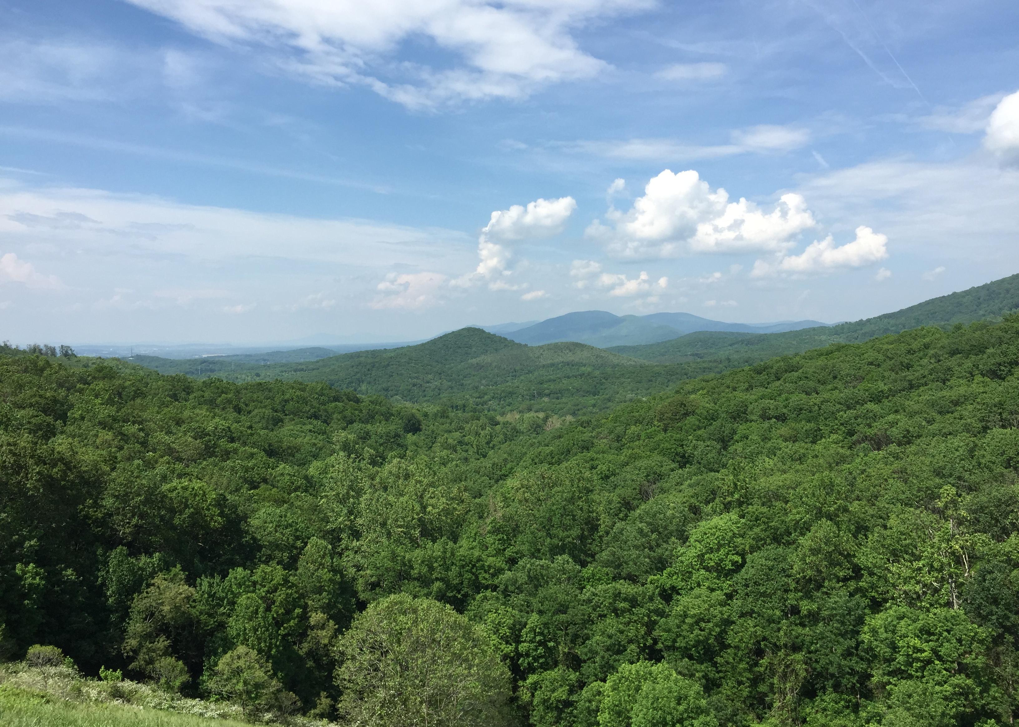 Counties With Highest COVID19 Infection Rates in Virginia Stacker