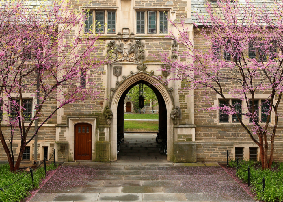 Pink-flowering dogwood trees with in front of an arched entrance at Princeton University.