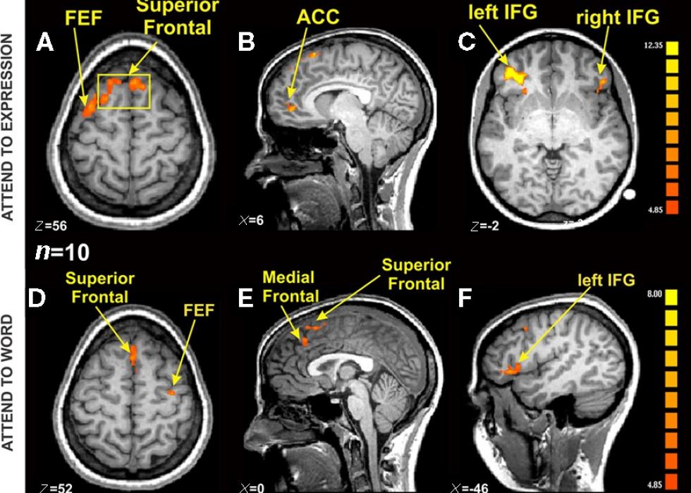 Antécédents médicaux depuis l année de votre naissance 