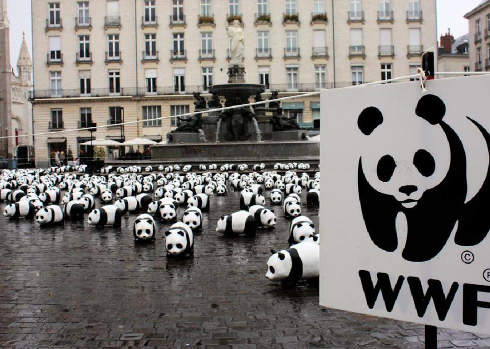World Wildlife Fund's panda bear sign in front of real-life group of pandas.