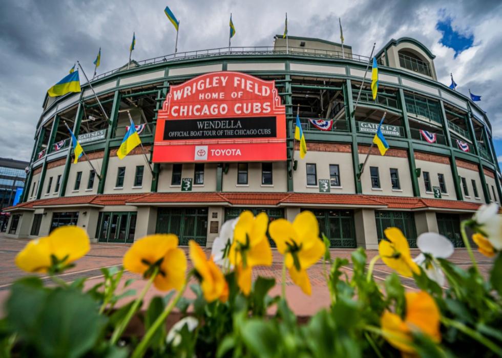 Entrance of Wrigley Field with yellow flowers in front.