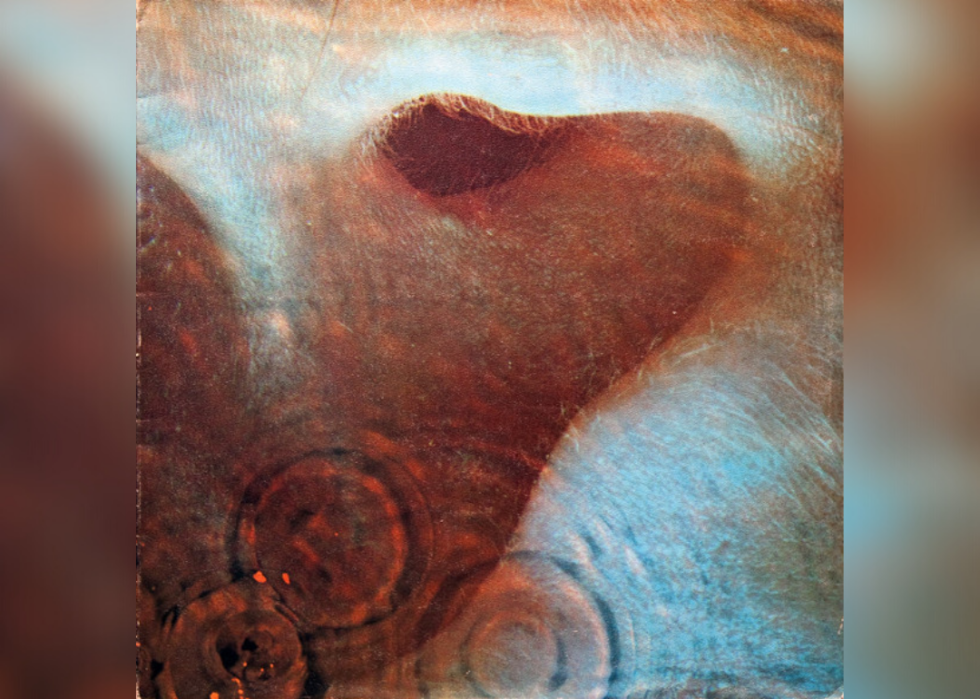 A photo image representing an ear, underwater, collecting waves of sound (represented by ripples in the water).