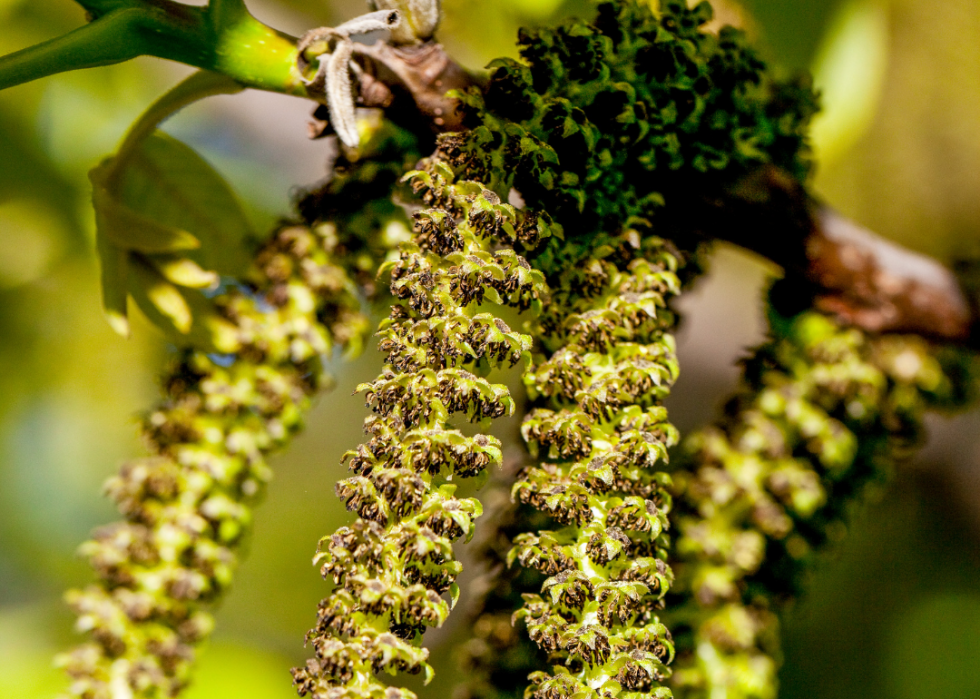 The Worst Months For 15 Common Allergies Wyndly
