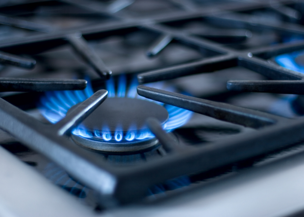 Close-up of flame on a gas range burner.