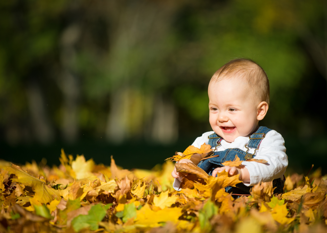 A baby boy in overalls playing in the leaves.