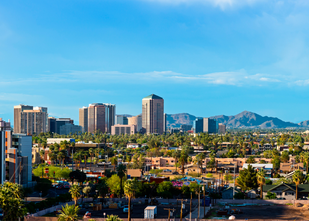 Buildings surrounded by palm trees and mountains in Scottsdale, AZ.