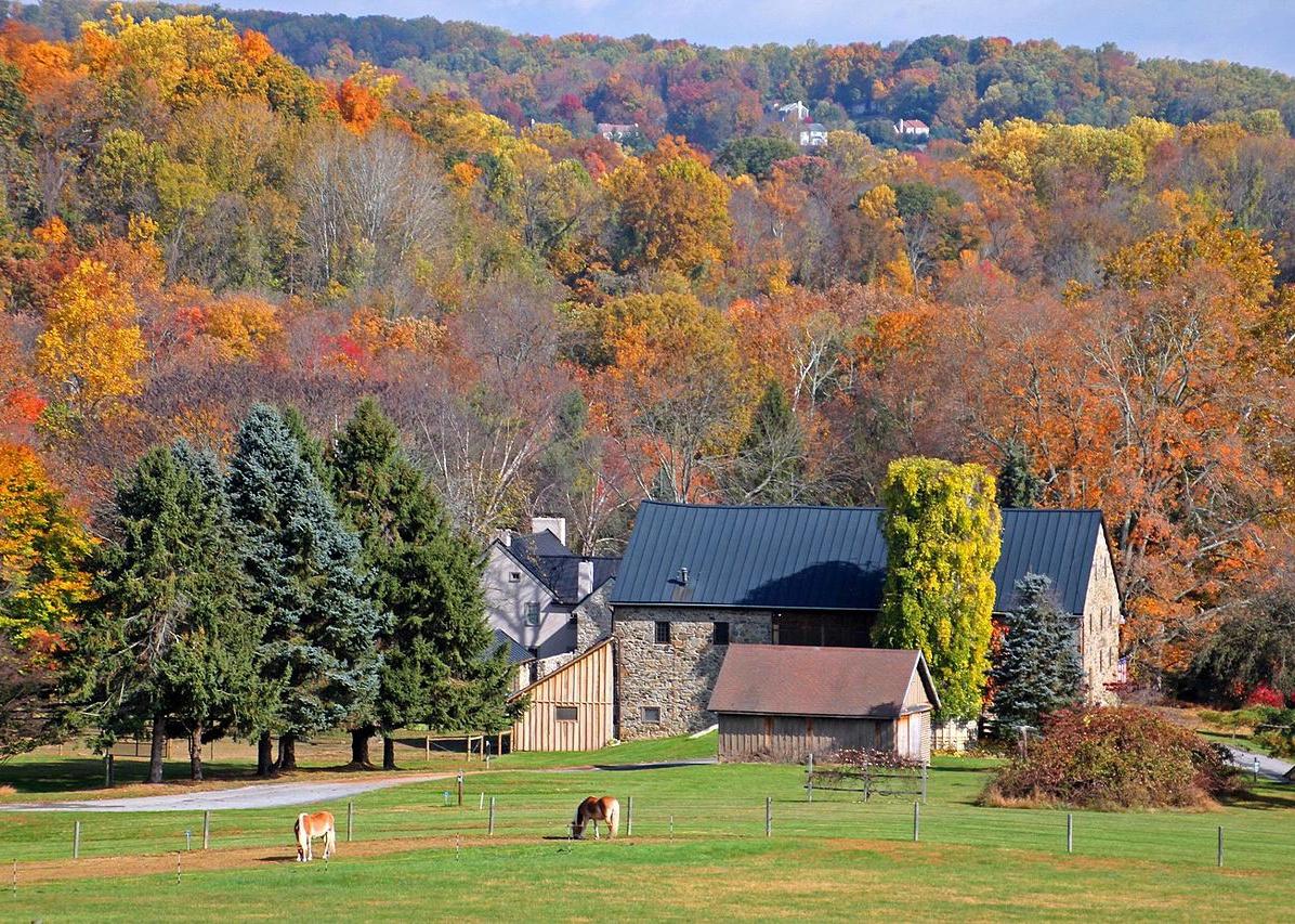 Colorful Fall trees behind a stone farmhouse and horses in a pasture.