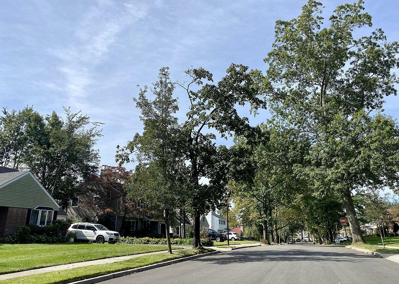 A residential neighborhood lined with trees.