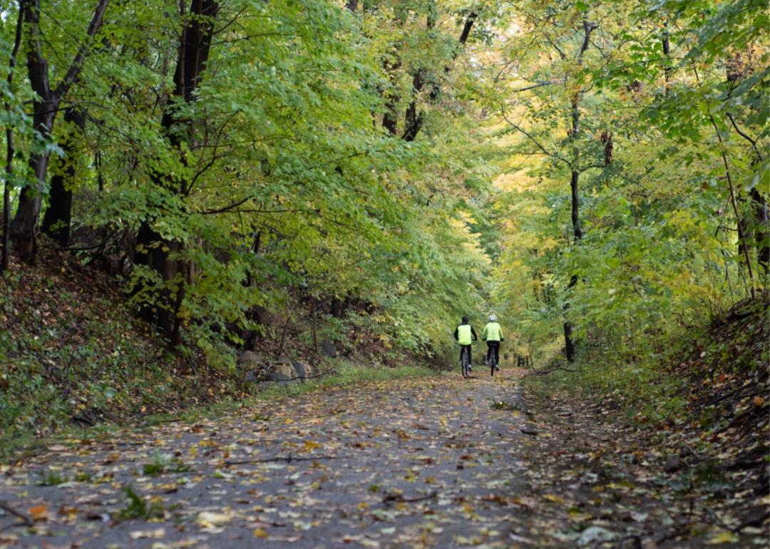 Two cyclists riding down a wooded trail.