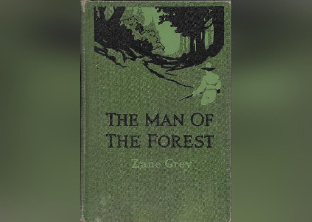 A green cover with a hunter going into the forest.