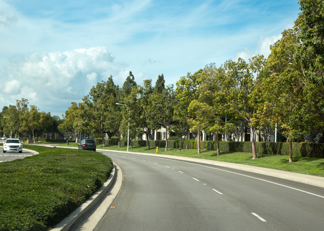 A winding road and trees next to a residential neighborhood.